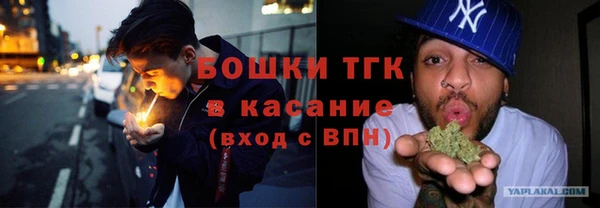Альфа ПВП Аркадак