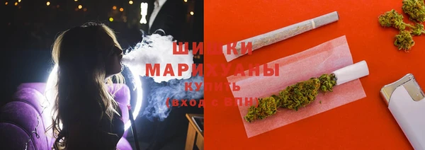 Альфа ПВП Аркадак