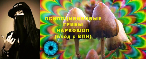 гидропоника Арсеньев
