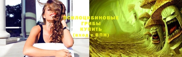 Альфа ПВП Аркадак