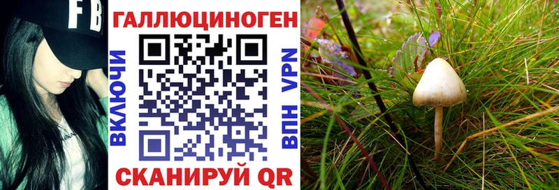 Псилоцибиновые грибы GOLDEN TEACHER хочу Краснослободск
